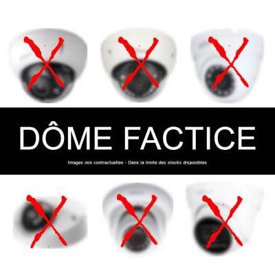 FACTICE-DOME - Caméra Dôme factice (non-fonctionnelle)
